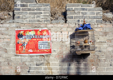 Ein Käfig Haustier Singvogel hängt von der Wand in der Stadt Kaifeng, China Stockfoto