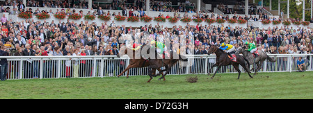 Iffezheim, Deutschland, die neue Welle Öffnung Rennen, laufen von Jockey Adrie de Vries Stockfoto