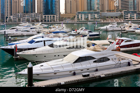 Motor Yachten ankern in der Dubai Marina, Vereinigte Arabische Emirate, Vereinigte Arabische Emirate Stockfoto