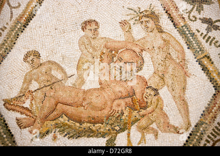 Mosaik in El Djem Museum, Tunesien Stockfoto