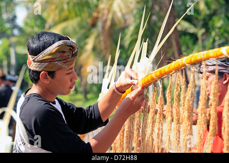 Zwei junge Männer machen Penjors, Pejeng Kawan Village, in der Nähe von Ubud, Bali, Indonesien. Stockfoto