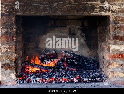 Schein der Glut im Freien im Kamin Holzkohle Grillen vorbereiten Stockfoto