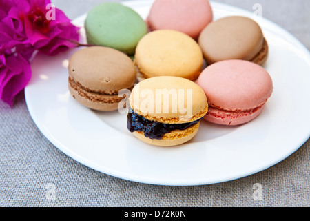 eine Vielzahl von französischen Macarrons abwechslungsreiche Farben und Aromen Stockfoto