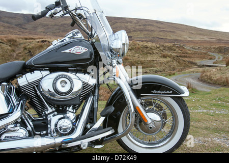 Harley Davidson FLSTC Softail Heritage Classic 2013 im Moor im Hintergrund Bild Stockfoto