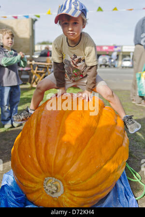 Christchurch, Neuseeland. 27. April 2013. Ein Youngster Hopfen an Bord einen riesigen Kürbis - mit 111,5 kg (254 lbs.) - bei großen Kürbisfest Lincolns. Die Veranstaltung umfasste Awards für die größten, verrücktesten und besten gekleideten Kürbisse. (Bild Kredit: Kredit: PJ Heller/ZUMAPRESS.com/Alamy Live-Nachrichten) Stockfoto