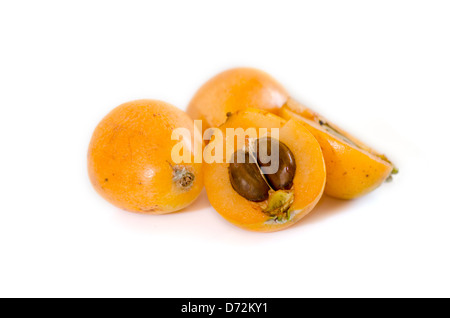 Frucht von Medlar oder Nispero Baum, Loquats, Spanien. Stockfoto