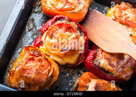 Paprika gefüllt mit gehacktem Fleisch auf schwarzen Backform Stockfoto