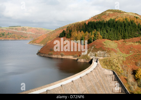 Herbstfärbung Llyn Clywedog Powys Wales UK Stockfoto