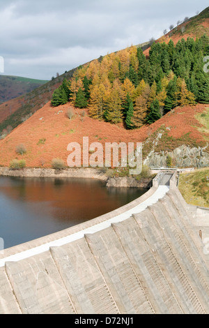 Herbstfärbung Llyn Clywedog Powys Wales UK Stockfoto