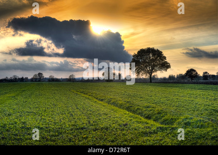 Naturschutzgebiet Kirchwerder Wiesen in der 4 und marschieren, Landung, Hamburg, Deutschland, Europa Stockfoto