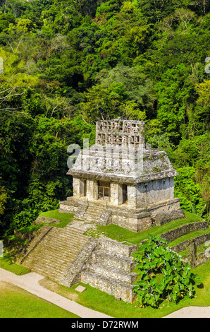 Tempel der Sonne in den Maya-Ruinen von Palenque in Mexiko Stockfoto