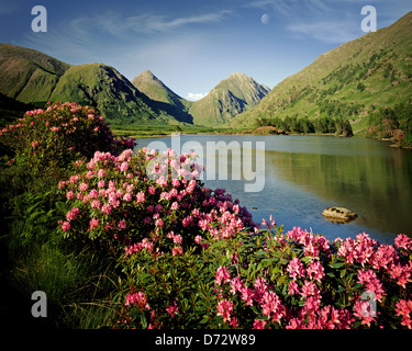 GB - SCHOTTLAND: Glen Etive im Hochland, Argyllshire Stockfoto