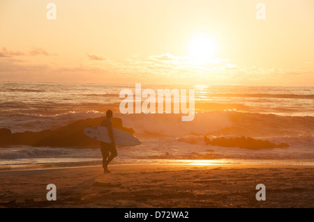 Surfer Sonnenuntergang Santa Teresa Beach Costa Rica Stockfoto