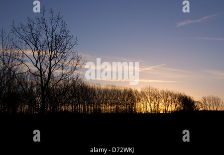 Sonnenaufgang am Neujahrstag, 2013 Stockfoto