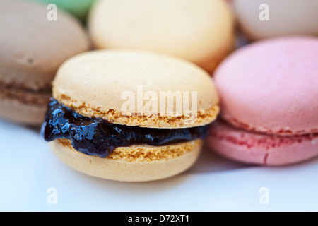 eine Vielzahl von französischen Macarrons von verschiedenen Farben und Geschmacksrichtungen Nahaufnahme Blick selektiven Fokus Stockfoto