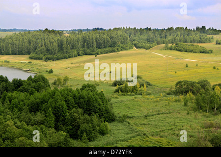 Sommerlandschaft Russlands Stockfoto