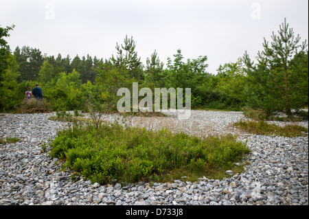Bug, Deutschland, Feuersteinfelder auf der Insel Rügen Stockfoto