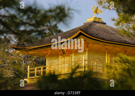 Goldener Pavillon, Tempel Kinkaku-Ji (auch bekannt als Rokuon-Ji), Kyoto, Japan Stockfoto