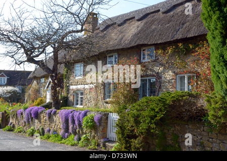 Ein Stein gebaute Reetdachhaus in Dorf Amberley, West Sussex, Großbritannien Stockfoto