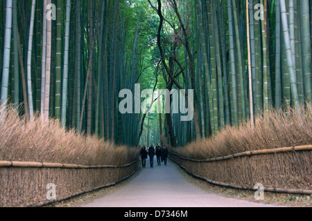 Touristen in den Bambuswald in Arashiyama, Kyoto, Japan Stockfoto