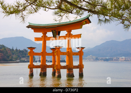 Torii Tor des Itsukushima-Jinja Schrein und Steinlaterne, Miyajima, Japan Stockfoto