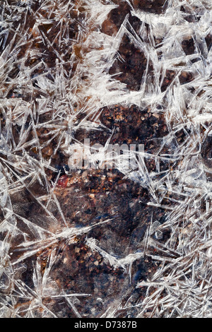 Frost Eiskristalle unter gefrorenen Bach im Frühlingswald Stockfoto