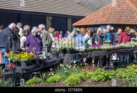 Menschenmassen in einem Garden Center RHS Hyde Hall Essex Stockfoto