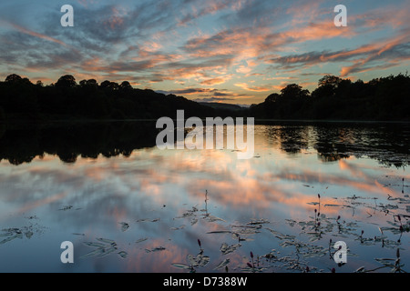 Wharfedale Ansichten, West Yorkshire Stockfoto