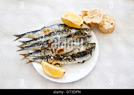 Sardinen vom Grill auf einem Stock. Stockfoto