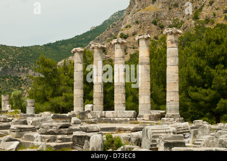 Tempel der Athene, Priene, Aydin, Türkei Stockfoto