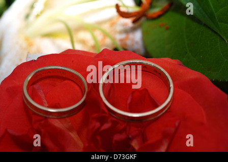 Trauringe auf rote Rose liegend Stockfoto