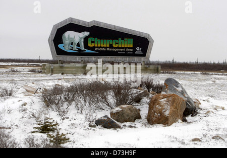 Churchill, Kanada, Churchill Wildlife Management Area Stockfoto