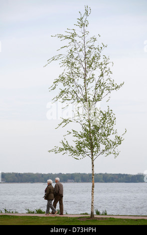 Oldenburg, Deutschland, ein älteres Ehepaar geht spazieren Zwischenahn Stockfoto