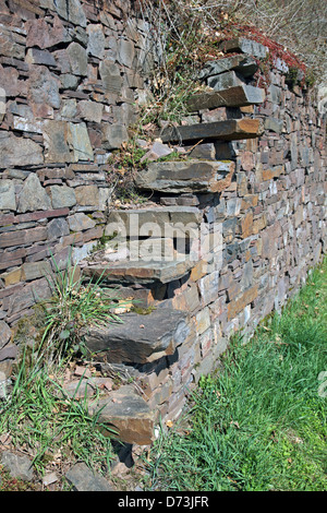 alte steinerne Stufen hinauf in einen Weinberg in der Nähe von Hatzenport in der Mosel Region Rheinland-Pfalz-Deutschland Stockfoto