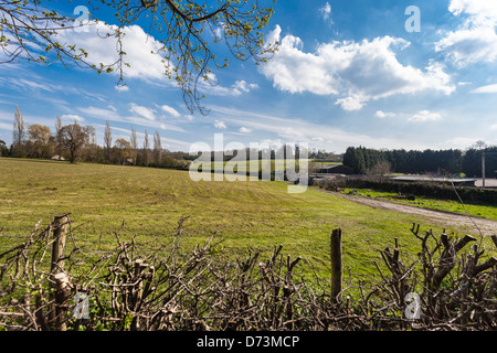 Britische Landschaft Blick, Borehamwood, Hertfordshire, England, UK Stockfoto