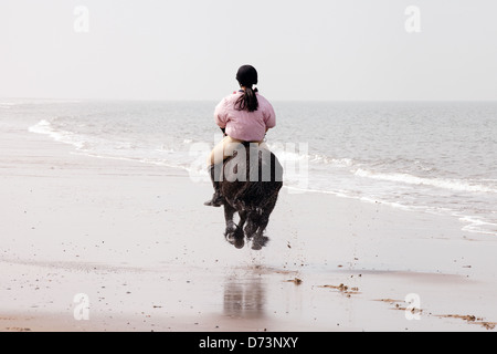 Eine junge Frau auf ihrem Pferd im Galopp Weg in die Ferne, Holkham Beach, Norfolk UK Stockfoto