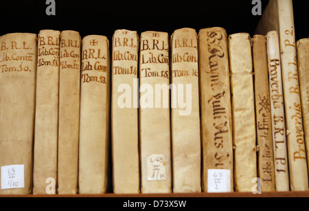 Antiquarische Bücher sind in einer Bibliothek auf der spanischen Insel Mallorca gespeichert. Stockfoto