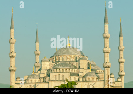 Die blaue Moschee, Sultanahmet, Istanbul, Türkei Stockfoto