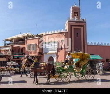 Marrakesch - Calèche Pferden gezogenen Kutsche Whch fungiert ein Taxi und touristische Fahrt in die meist autofreien Zentrum der Stadt. Stockfoto