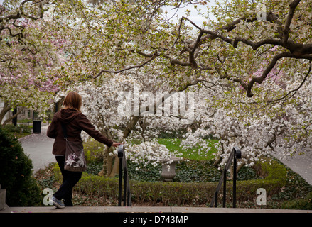 Brooklyn Botanic Garden Stockfoto