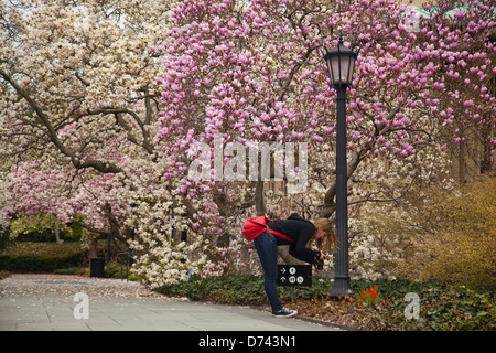 Brooklyn Botanic Garden Stockfoto