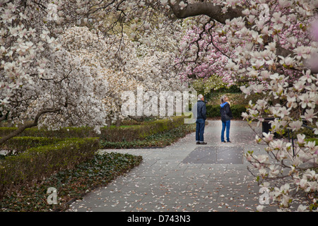 Brooklyn Botanic Garden Stockfoto