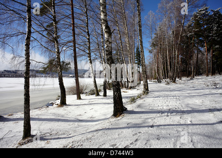 Lippen, Tschechien, Wandern auf den zugefrorenen Lipno Stockfoto