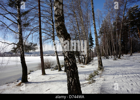 Lippen, Tschechien, Wandern auf den zugefrorenen Lipno Stockfoto