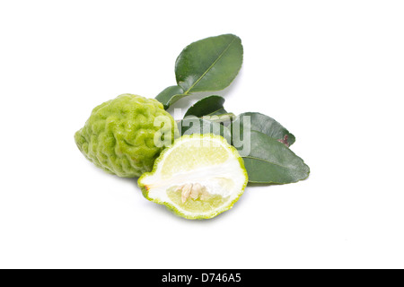 Kaffir-Limette mit verlässt isolierten auf weißen Hintergrund. Stockfoto