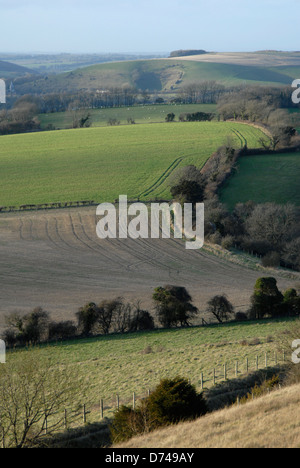 Zeigen Sie suchen Norden über Felder in Richtung East Meon, Hampshire, von Butser Hill an Stockfoto