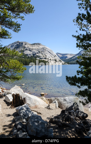 Tenaya See am Tioga Pass im Yosemite National Park Stockfoto