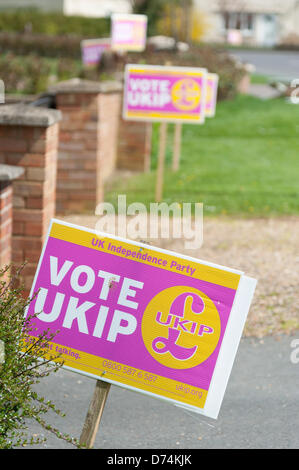 Ramsey, Cambridgeshire, Großbritannien. 29. April 2013.  Ein Meer der UK Independence Party-Unterstützung, Plakate außerhalb Häuser am Ramsey vor den Kommunalwahlen aufgereiht sind, am 2. Mai fällig. Ramsey ist die nur lokale Behörde kontrolliert durch die UKIP-Partei in Großbritannien seit 2011 mehrheitsfähig. Bildnachweis: Julian Eales/Alamy Live-Nachrichten Stockfoto