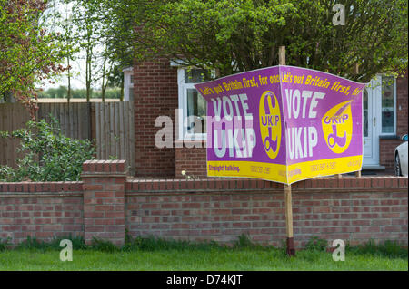 Ramsey, Cambridgeshire, Großbritannien. 29. April 2013.  UK Independence Party Unterstützung Plakate sind aufgereiht außerhalb Häuser am Ramsey vor den Kommunalwahlen am 2. Mai fällig. Ramsey ist die nur lokale Behörde kontrolliert durch die UKIP-Partei in Großbritannien seit 2011 mehrheitsfähig. Bildnachweis: Julian Eales/Alamy Live-Nachrichten Stockfoto