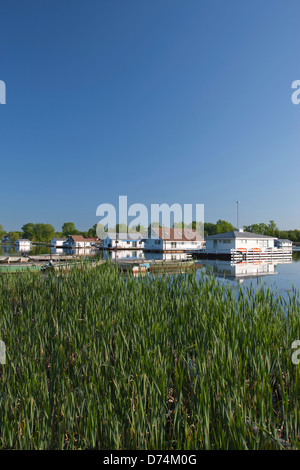 SCHWIMMENDE HÄUSER HUFEISEN TEICH PRESQUE ISLE STATE PARK ERIE PENNSYLVANIA USA Stockfoto